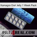 Kamagra Oral Jelly 1 Week Pack 34